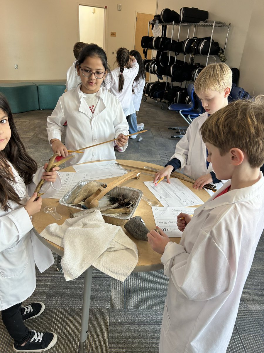 Tricia Richardson tweet media