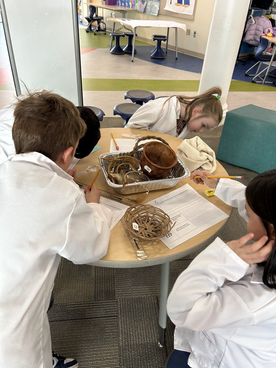 Tricia Richardson tweet media