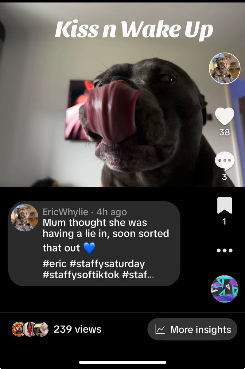 Happy #StaffySaturday
