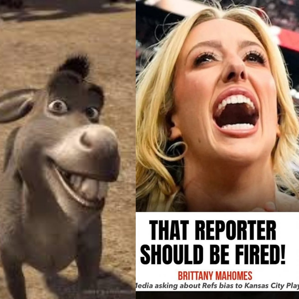 bigevil08's tweet photo. @PatrickMahomes  your wife looks like donkey from #shreak 😂😂😂😂😂😂😂😂 I hope @Chiefs loose but we all know they will with the #refs help https://t.co/UGL96gcXB4