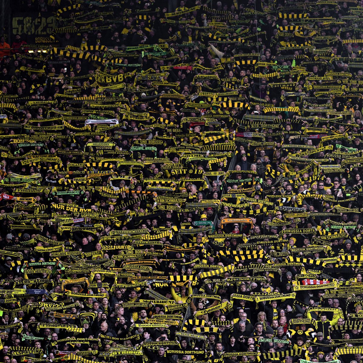 BVB's tweet photo. 🥰 #BVBVFB https://t.co/MmQVknqwze