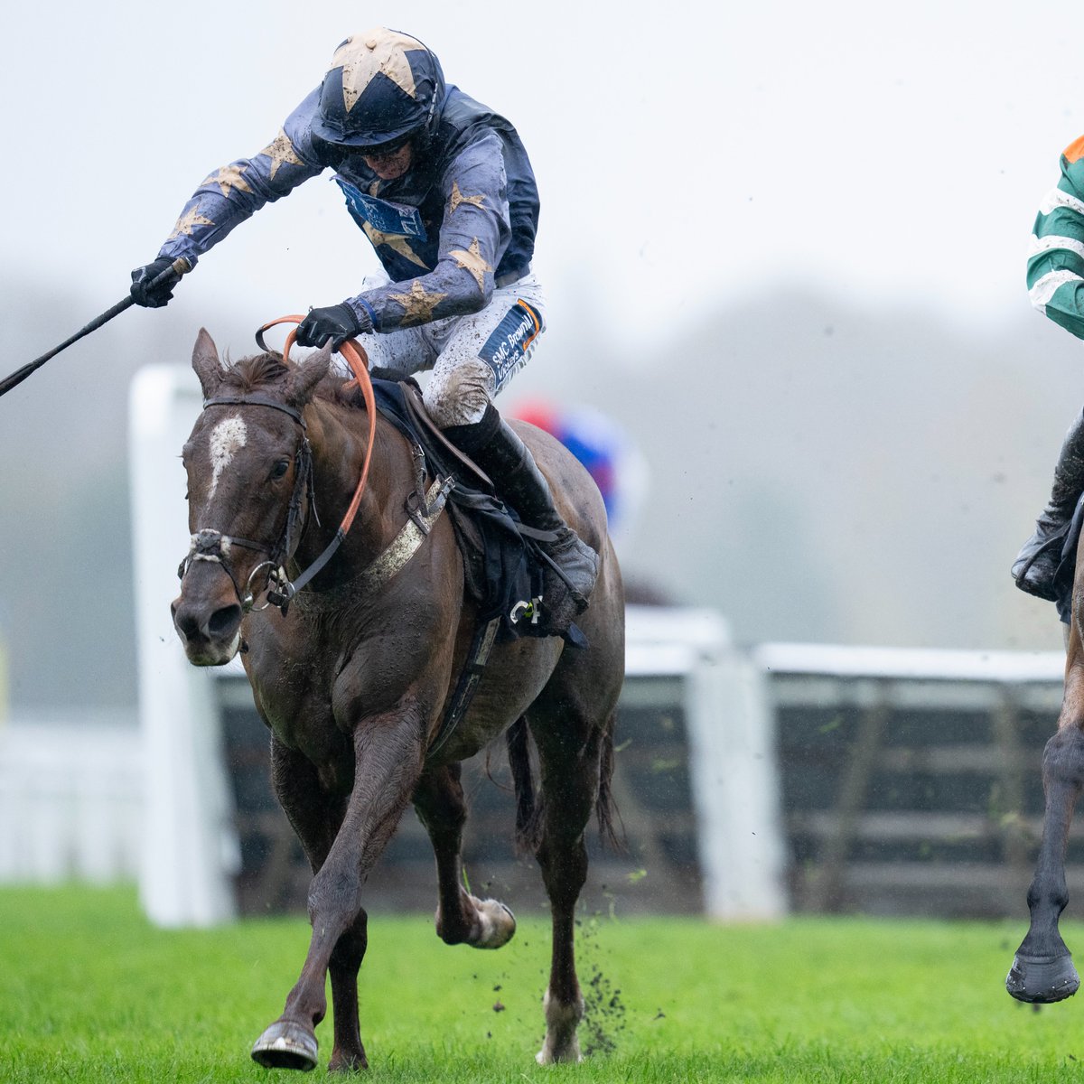 ROYALE MARGAUX wins the Mares' Hurdle at Warwick