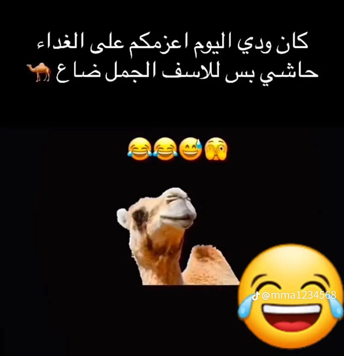 😂😂😂😂😂😂😂🥰🥰