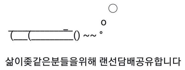 시로しろ (@shrir0_) on Twitter photo 