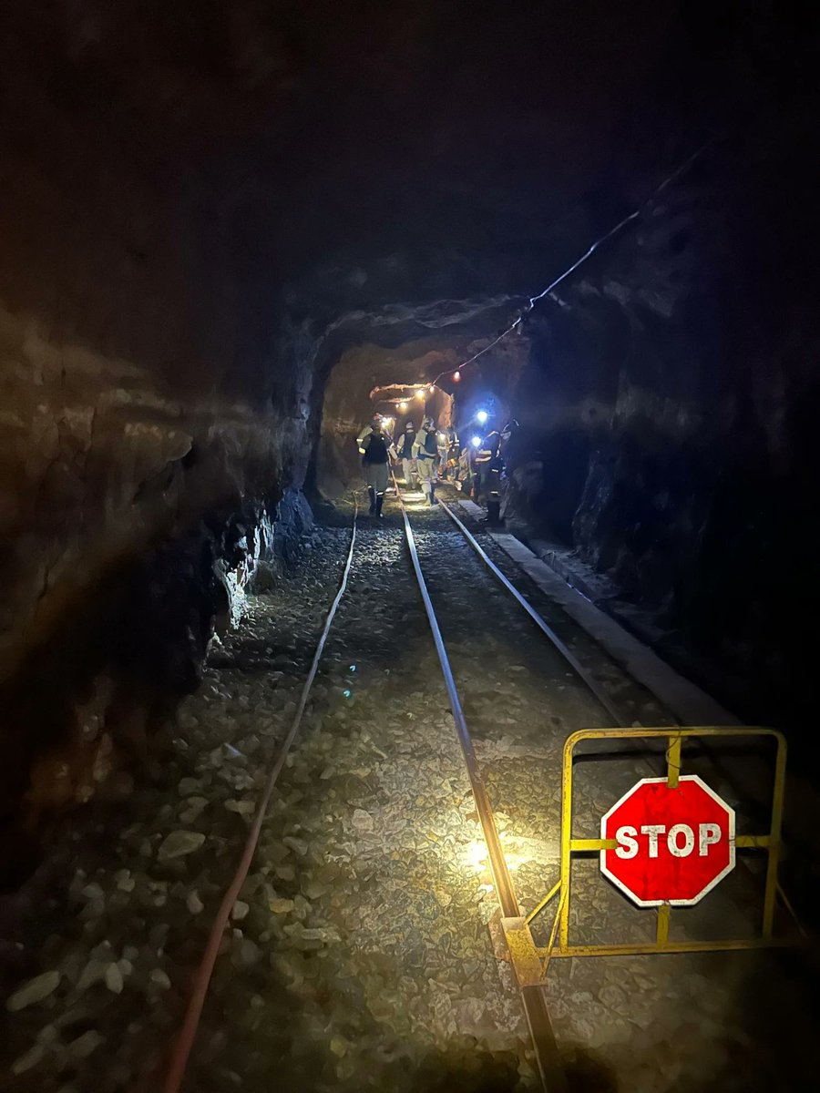 Scientists have discovered an astonishing diversity of microbes thriving deep below Earth's surface, in conditions previously thought inhospitable for life. These organisms, found miles underground, adapt to extreme temperatures and pressures, revealing new insights into the