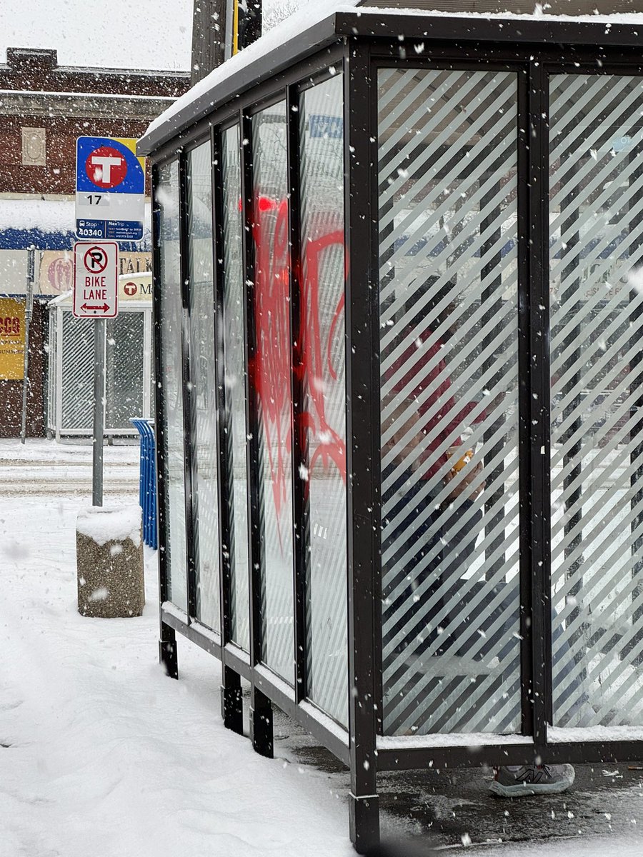 bus number 4 tweet media