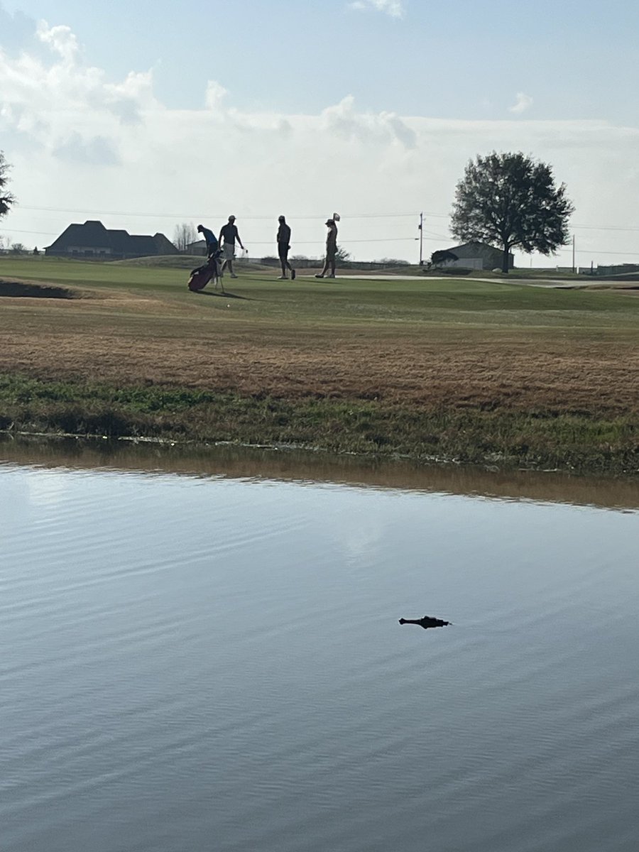 An additional spectator this morning at ⁦<a href="/Nicholls_GOLF/">Nicholls Golf ⛳️</a>⁩ practice at ⁦<a href="/LaTourgolf/">LaTour Golf Club</a>⁩. #GeauxColonels