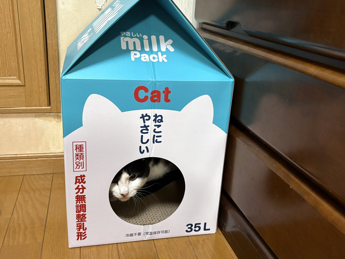 こっこ tweet media