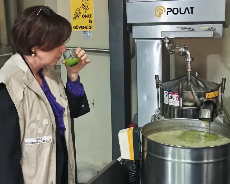 milastarim's tweet photo. Zeytincilik sezonununda ilçemizde faaliyet gösteren 105 mevsimlik zeytin sıkım tesisi (yağhane) ve zeytinyağı paketleme işletmesinin denetim ve kontrolleri gerçekleştirilmiştir.

⬇️Haberin devamı⬇️

https://t.co/wwHBGmlz14
@ali_parlu @ibrahimyumakli @muglatarim @TCTarim https://t.co/deDxb8tFST