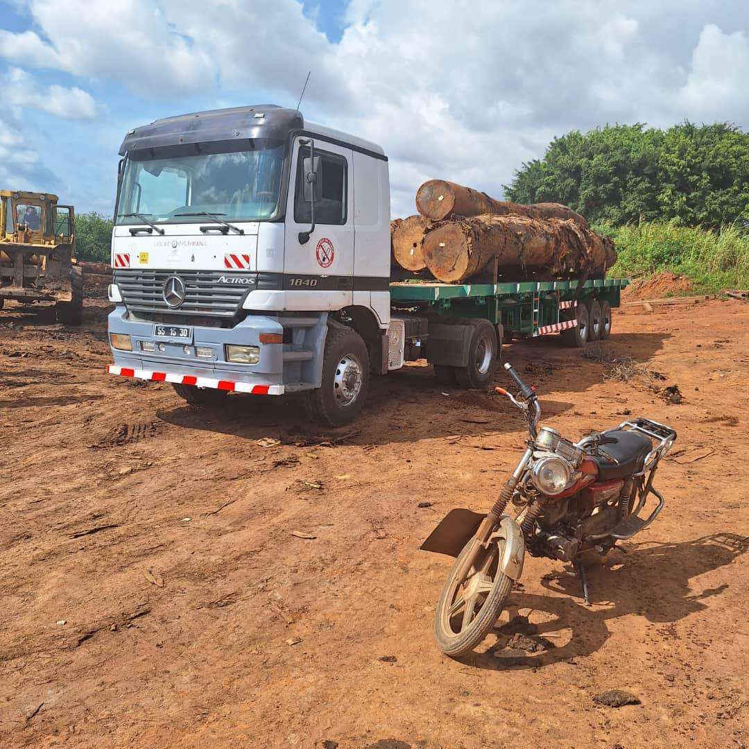 AbiluTangwa's tweet photo. "The Amazon and Congo rainforest are known as the 'lungs of the Earth', but are being destroyed at an alarming rate. It's high time we prioritize #AmazonConservation #Congoconservation and protect this unique ecosystems before it's too late. #ActNow #ClimateEmergency" https://t.co/E7v9OMhQtO