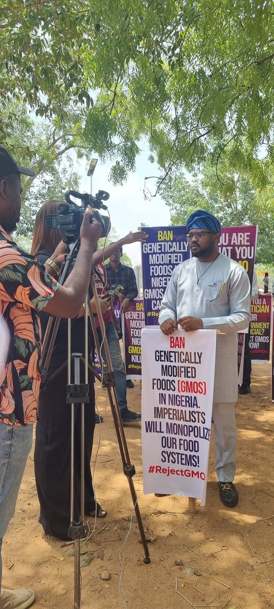 pshegs's tweet photo. To those who are looking for those to profile and smear, .. let me tell you, the list is very long. We are many; young, vibrant Nigerians who are ready to fight for our true independence. 

Food does not know political party, neither does health. They said we don't have evidence that GMOs are dangerous; we gave them, they pretended they didn't see it. 

GMO Maize can make people sterile! Since 2000, the research was done. Yet, someone who is complaining about our population is offering you GMO maize and you think all is well. 

I will make a mega thread of resources you can use to learn everything bad about GMOs and what we can do.