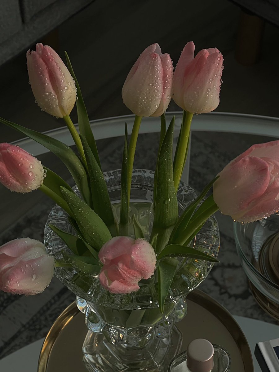 iflah olmaz bir çiçek bağımlısıyım 🦦