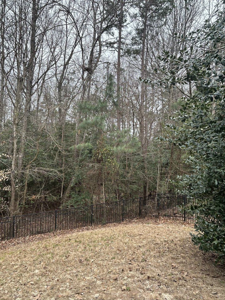 UNCL3MIK3MIK3's tweet photo. Can you find the bedded deer?
✅ bedded deer shown in comment below
#UMMazing https://t.co/KbmvlMtV49