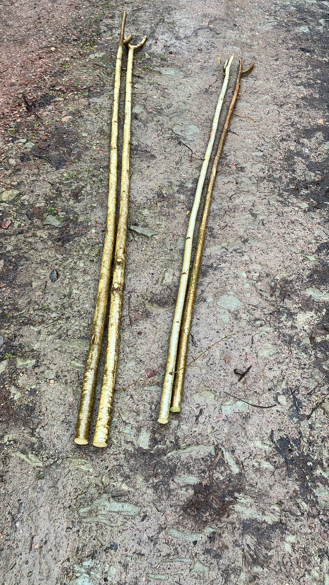MattyH02's tweet image. A rewarding wander through the woods. Found 2 perfect sets of lave net rimes (see second pic). The set on the right are for my 8 year olds first lave net. Only 114 sleeps to go until the season starts on June the 1st…I’d better get busy…