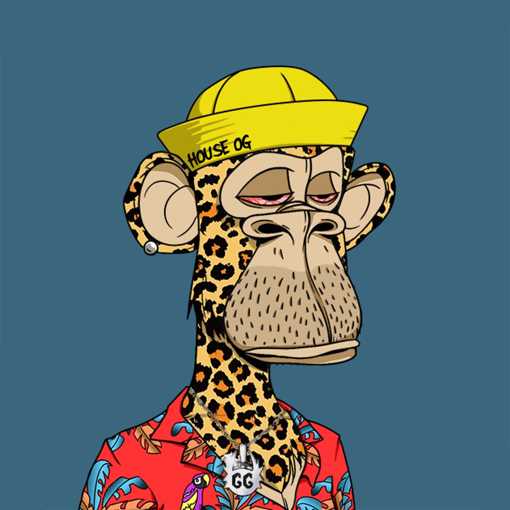 I have zero interest in a Pudgy or a Doodle. Im a grown ass man. I fck with Bored Ape