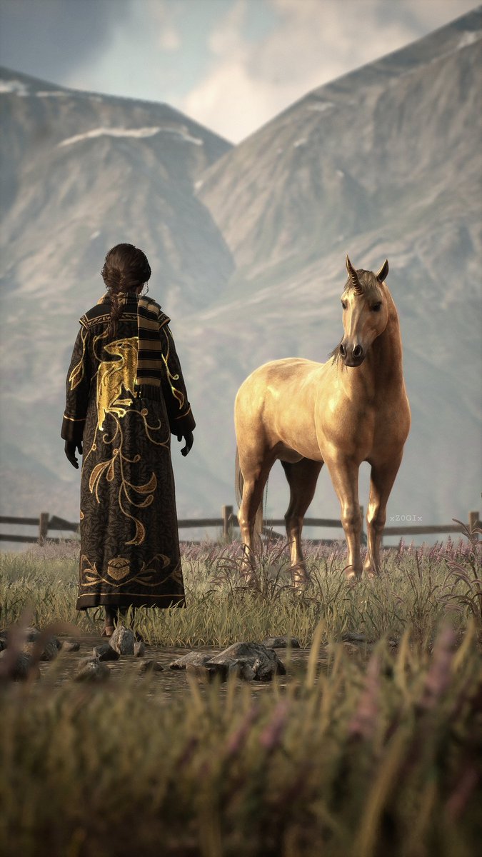 • Hogwarts Legacy •

#hogwartslegacygame #hogwartslegacy #portkeygames #wbgames #XboxSeriesX #coffeeandcaptures #virtualphotography