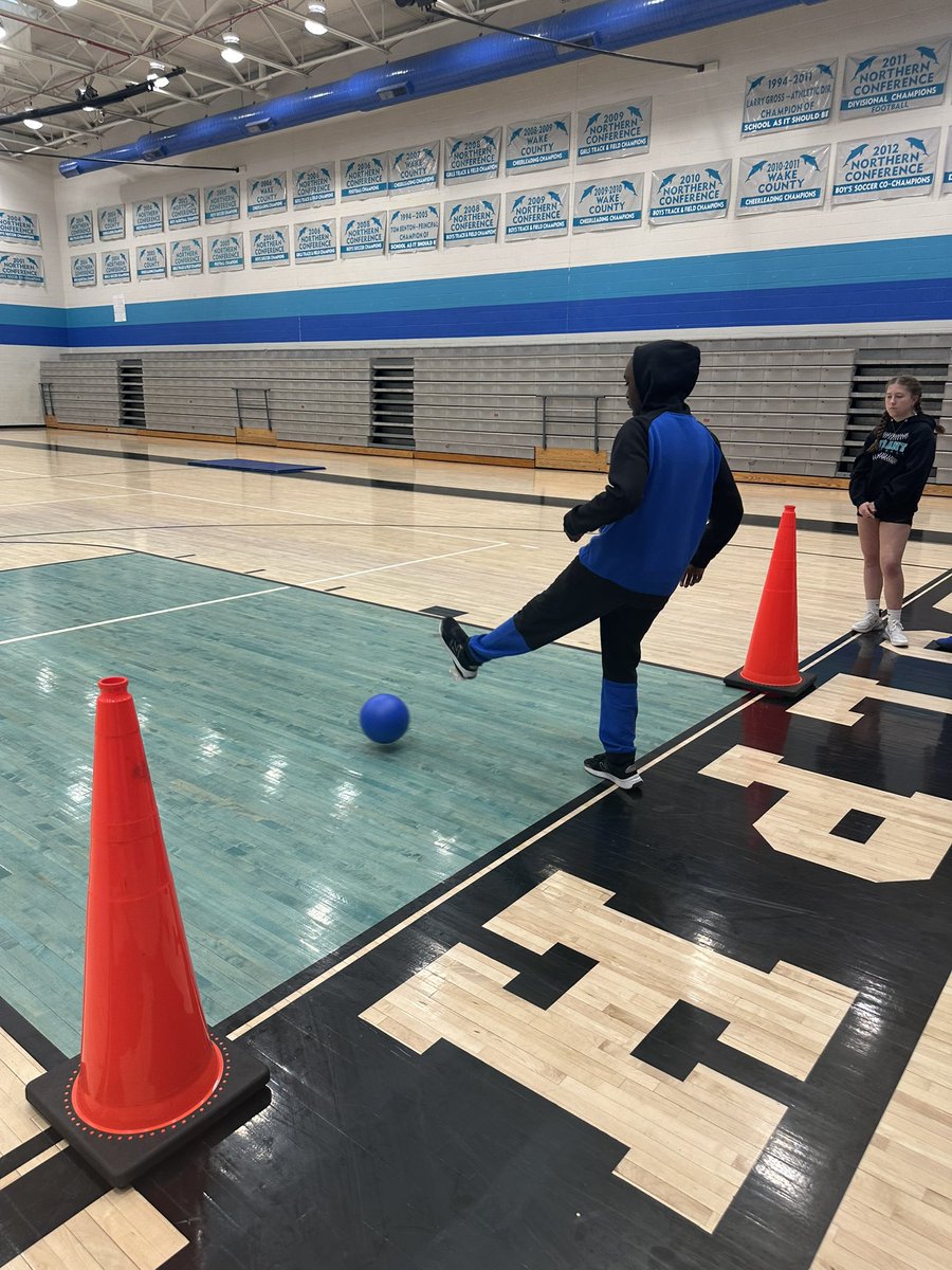 UnifiedDolphins tweet media