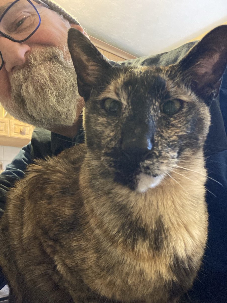 D.V. Catt tweet media