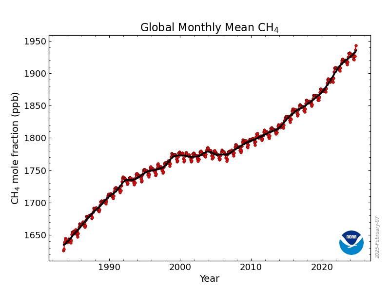 Leon Simons 🌍 tweet media