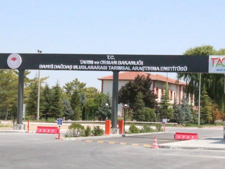 8 Şubat 2002 de göreve başladığım enstitümüzde 23.yılımı doldurdum.  Bu zamana kadar yapmış olduğumuz projelerimize destek veren yöneticilerimize ve kurum kuruluşlara teşekkür ederim 
<a href="/bahridagdas/">Bahri Dağdaş Uluslararası Tarımsal Araştırma Ens.</a>