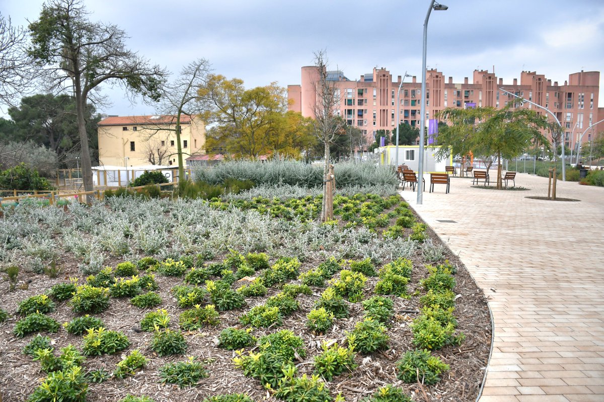 Obre el nou parc a #CanClos amb més de 24.000 m² per millorar la connexió entre els barris de la Marina.🌳
Al #SantsMontjuïcAlDia escoltem a la regidora <a href="/rgileiroa/">Raquel Gil Eiroa</a> i les veus del veïnat del barrri de Can Clos.

🎧Audio👉go.ivoox.com/rf/139484854
📰Notícia📸👉el3.cat/noticia/99901/…