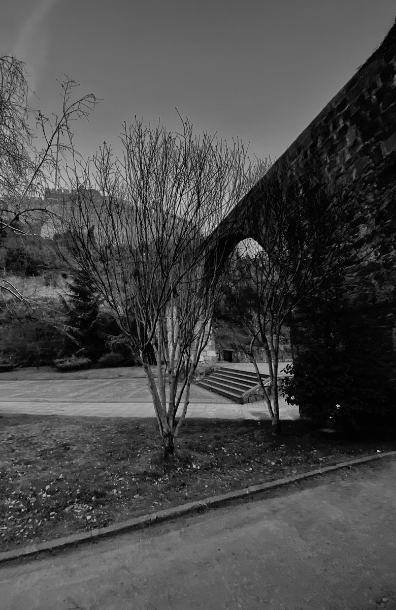 Kurumuş kuyunun suyu, incirin 
Sütü çoktan çekilmiş 
Bir zamanlar dünya sandığım bahçeyi 
Ayrık otları dikenler bürümüş… 
                                            Ahmet Erhan