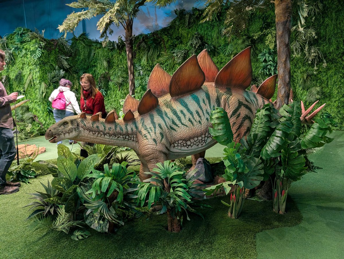 the_MerMae tweet media