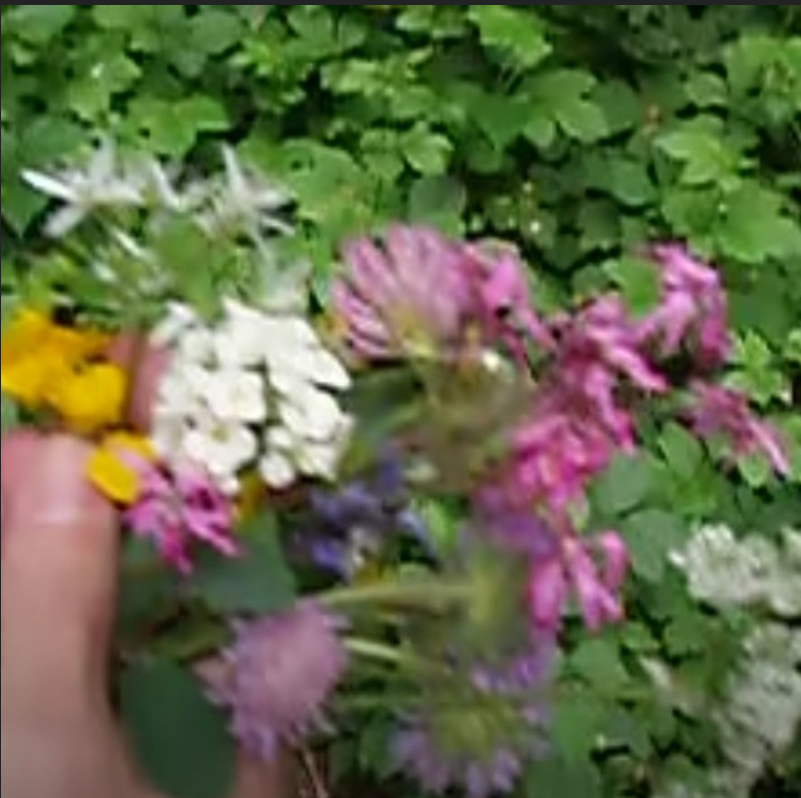 GavinB913's tweet photo. @shahh That coin is $FLOWER 

The crypto before crypto    

Hope you're positioned accordingly https://t.co/j63Rz9g7AX