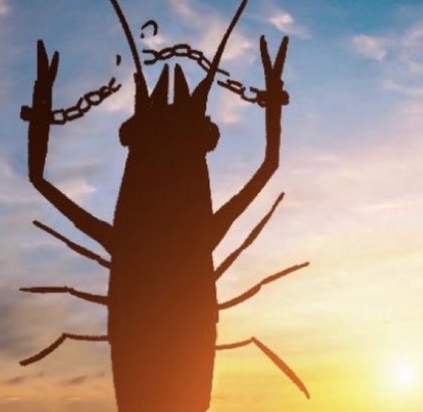 bossanium's tweet image. #kafkaesque
