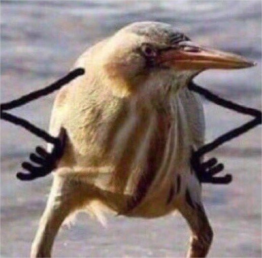 Julien | Bad Mood tweet media