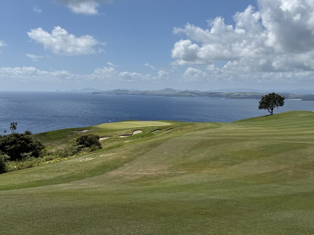 golf course enthusiast tweet media