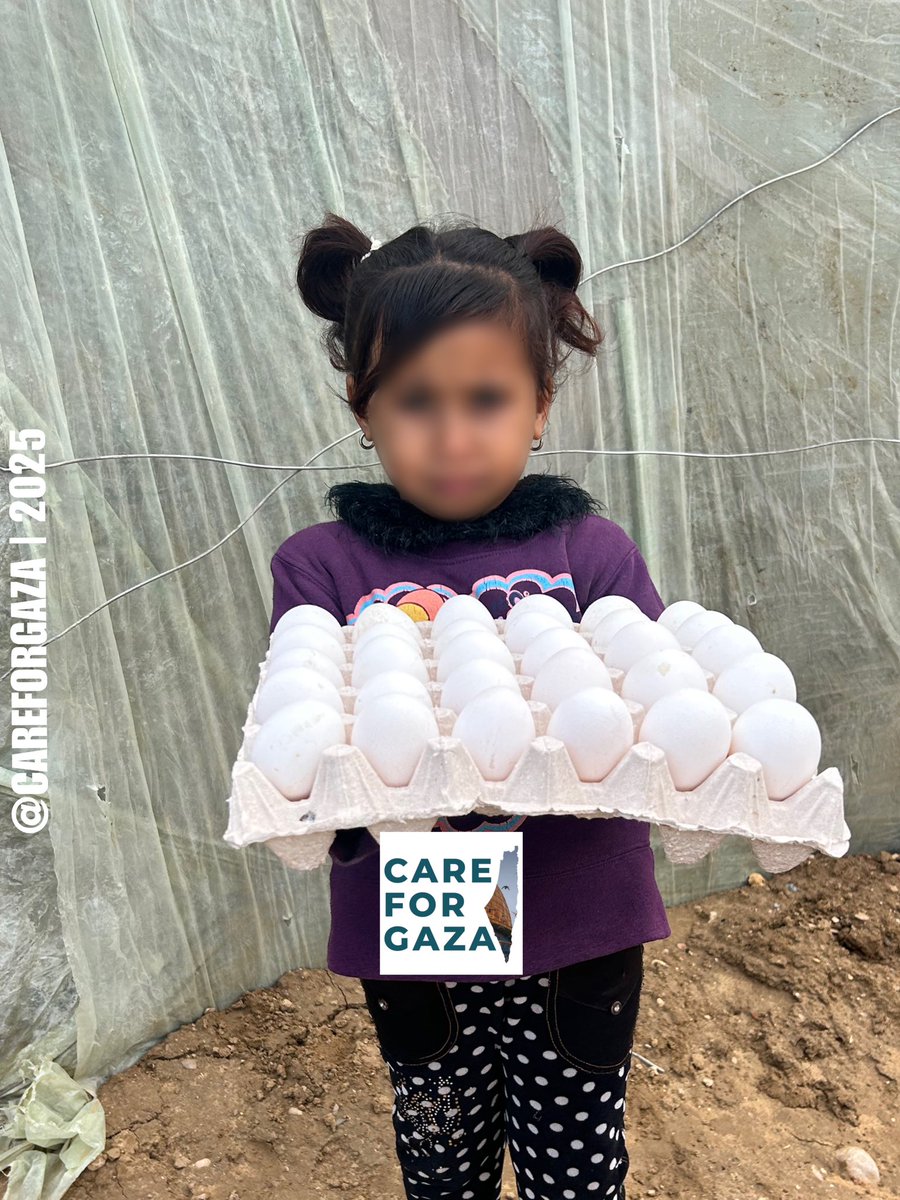 CareForGaza's tweet photo. Part of CareforGaza work in Gaza.

Link: https://t.co/5lhiUzS4du https://t.co/xqwCNoRFLL