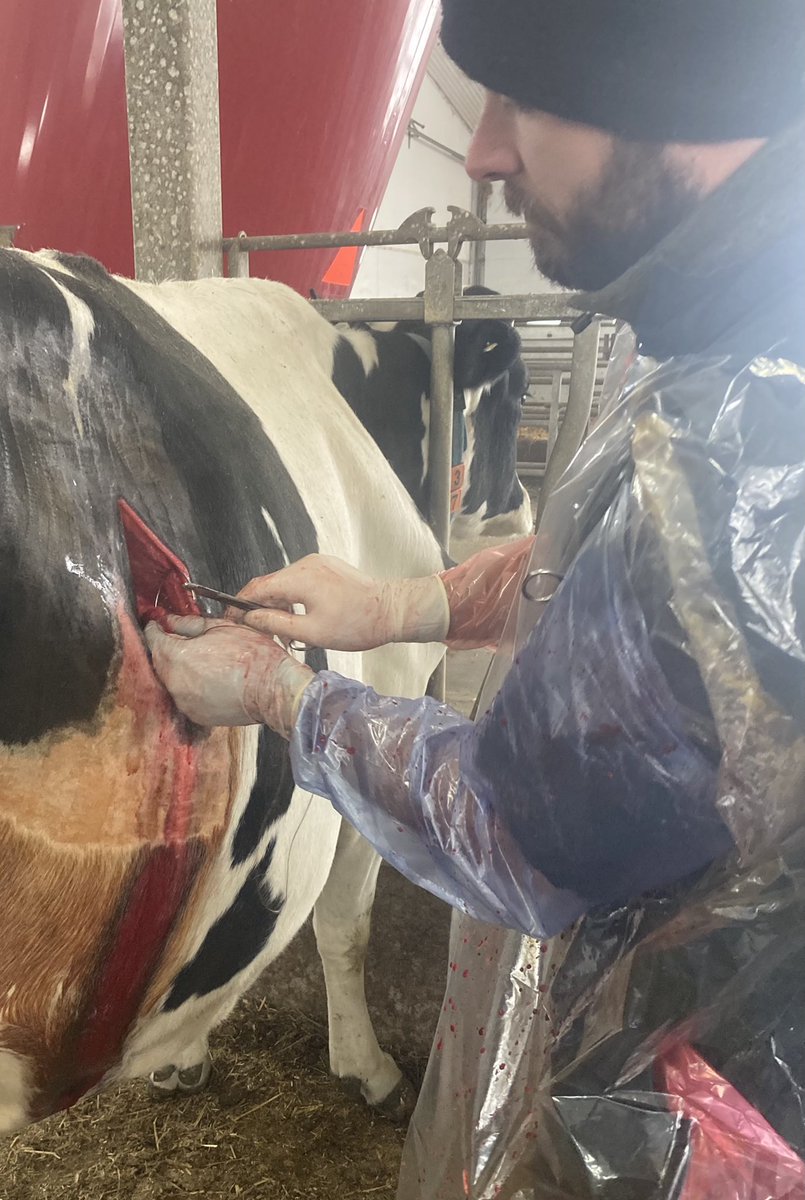 Robin Poss tweet media