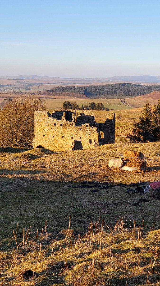 AltogetherArch (@altogether_arch) on Twitter photo On Thursday AA joined an excellent guided walk with Redesdale Archaeology Group and visited a Roman Fort, altar, burial mound, ironworks etc. <a href="/PurpleFluorspar/">Martin Green</a> <a href="/spe_ny/">Stephen</a> <a href="/ArchandArch/">AASDN</a> <a href="/DavidPetts1/">David Petts</a> <a href="/NorthPenninesNL/">North Pennines National Landscape</a> <a href="/DiggerSteveB/">Stephen Brown</a> <a href="/archaeology_s/">Archaeology SWAAG</a> On Thursday AA joined an excellent guided walk with Redesdale Archaeology Group and visited a Roman Fort, altar, burial mound, ironworks etc. <a href="/PurpleFluorspar/">Martin Green</a> <a href="/spe_ny/">Stephen</a> <a href="/ArchandArch/">AASDN</a> <a href="/DavidPetts1/">David Petts</a> <a href="/NorthPenninesNL/">North Pennines National Landscape</a> <a href="/DiggerSteveB/">Stephen Brown</a> <a href="/archaeology_s/">Archaeology SWAAG</a>