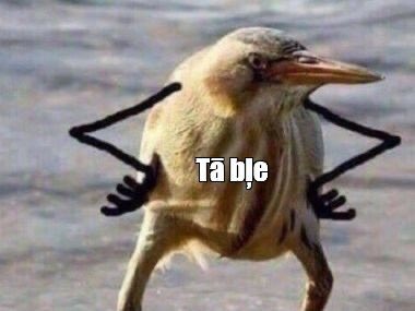 Kas te fucking notiek?? #ltvsupernova