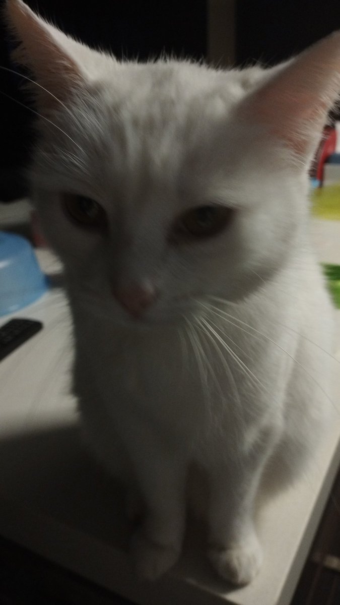 Buenos días mi gente, cómo estáis?