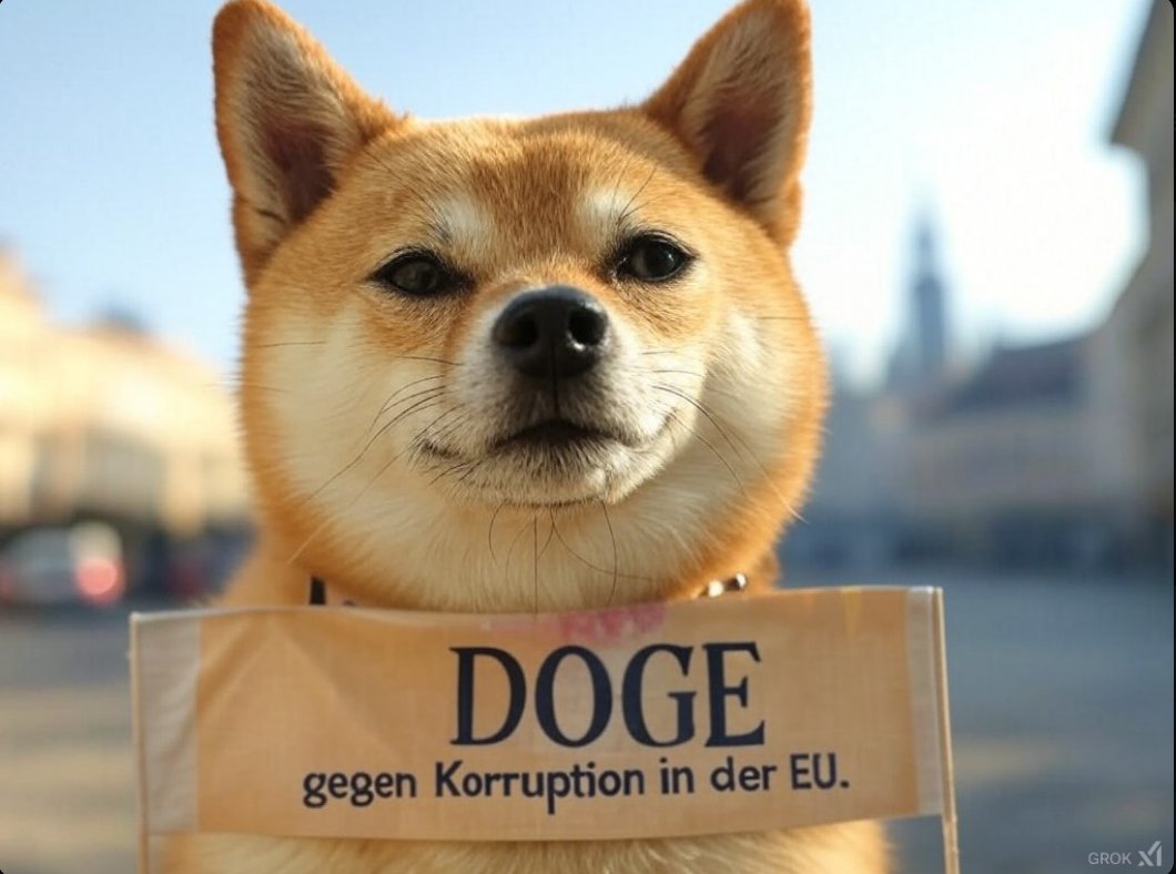 Jens.H. 🇩🇰 tweet media