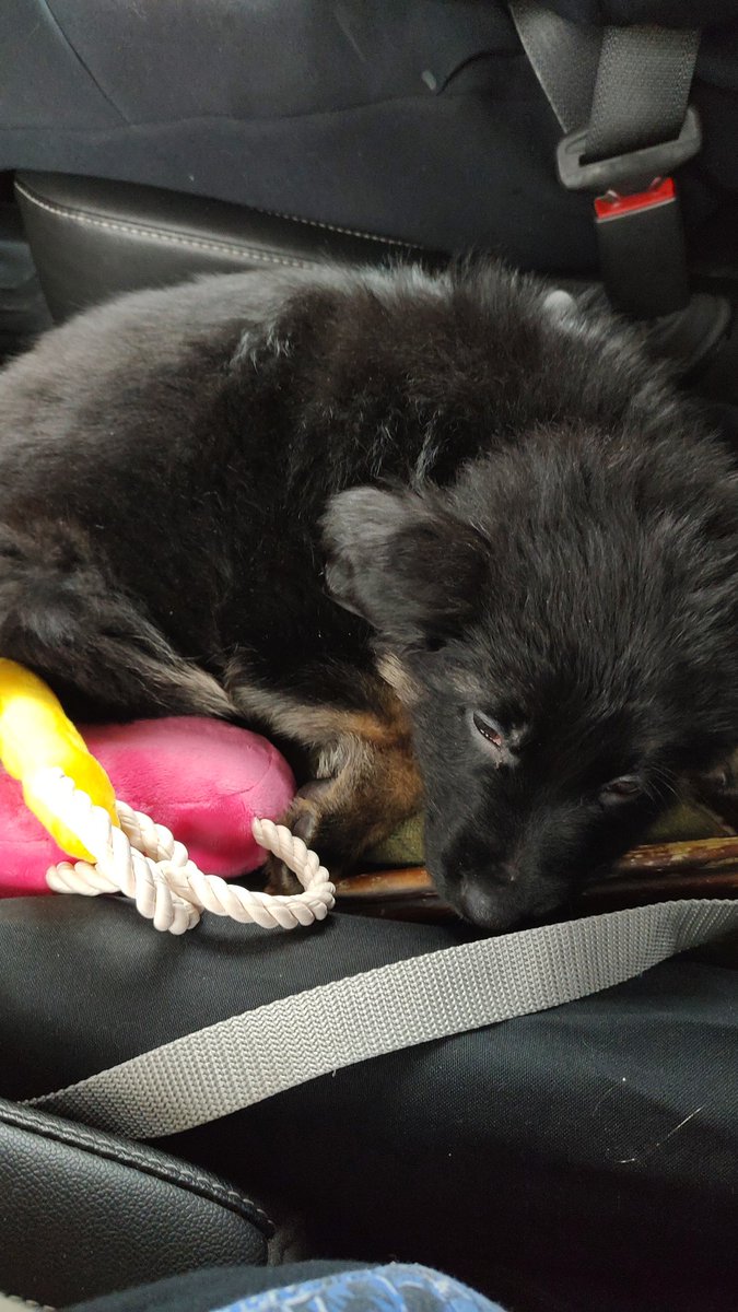 vasxia's tweet image. Liebe ❤️❤️