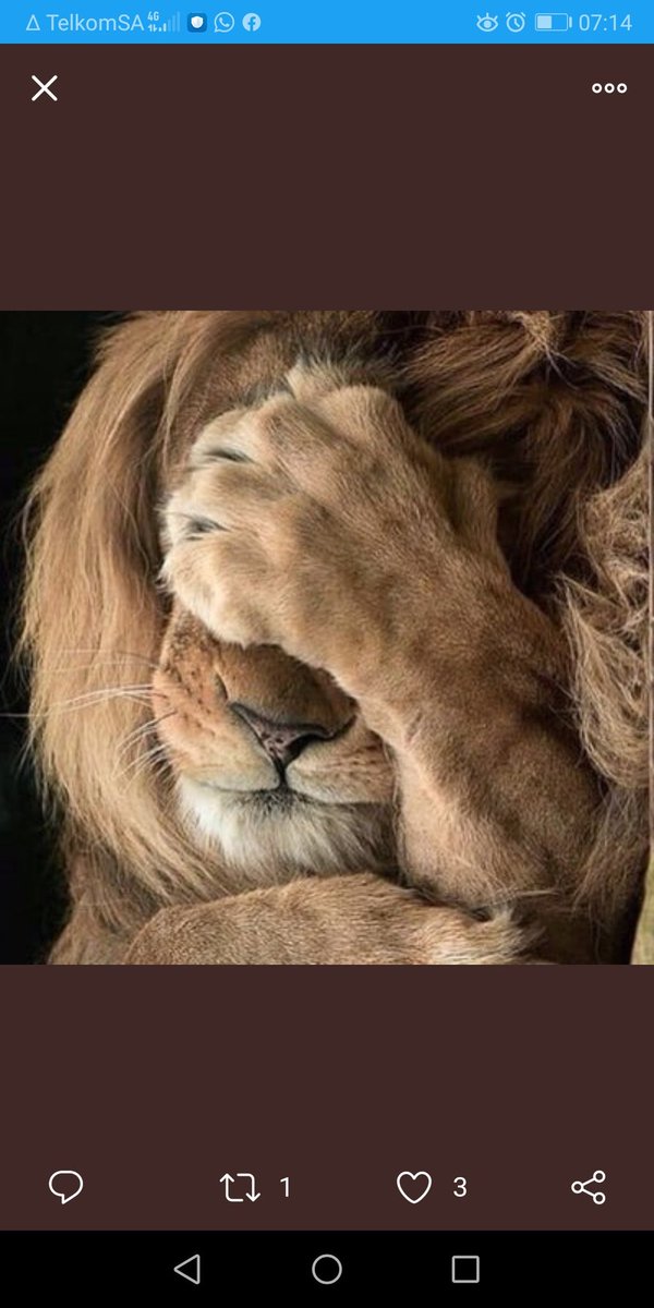 Next please #BBMzansiumililo