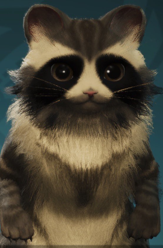 Kappa_Kidd's tweet photo. @MidnightBoshi My hunter is ready, along with my little raccoon fella https://t.co/Bk8VqgHyVb