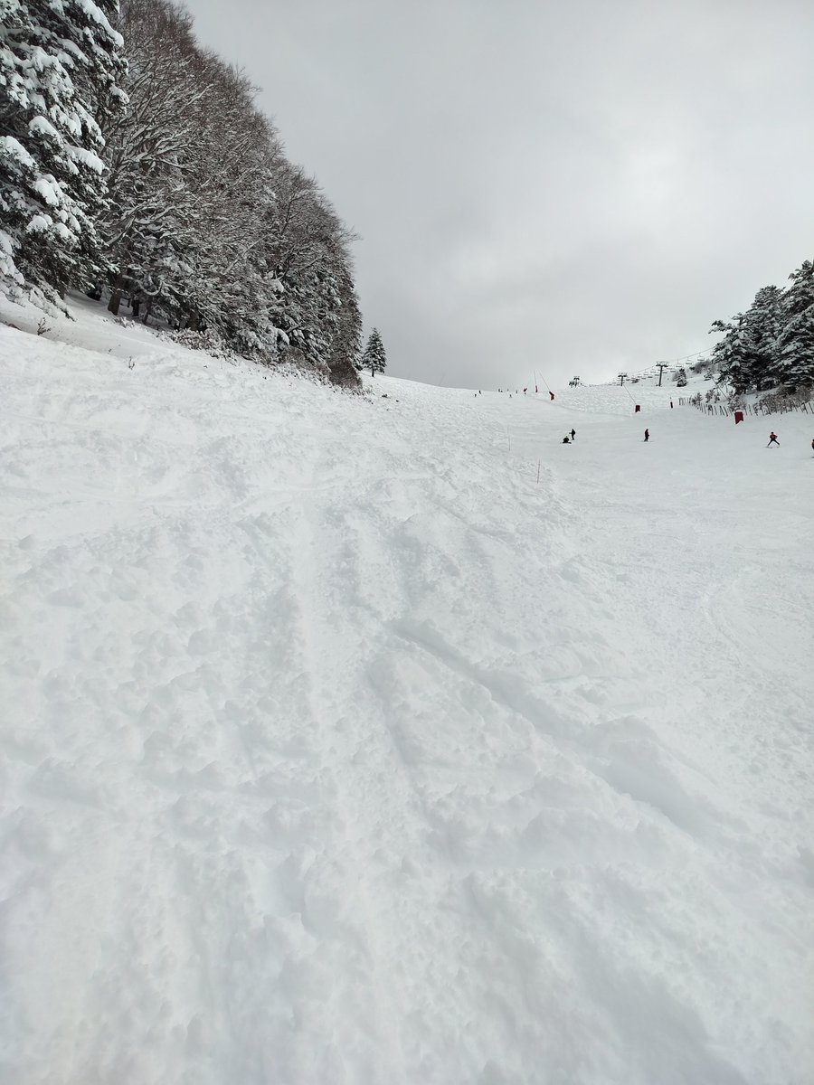 FreeRangeChalet's tweet image. POWDER ALERT

Big delivery of fresh snow last night here in the Pyrenees. 

We've not sent out our usual email because the School Holidays have started here so imagine you've got plans already 

Plenty of availability at the beginning of March tho. 

#PowderAlert