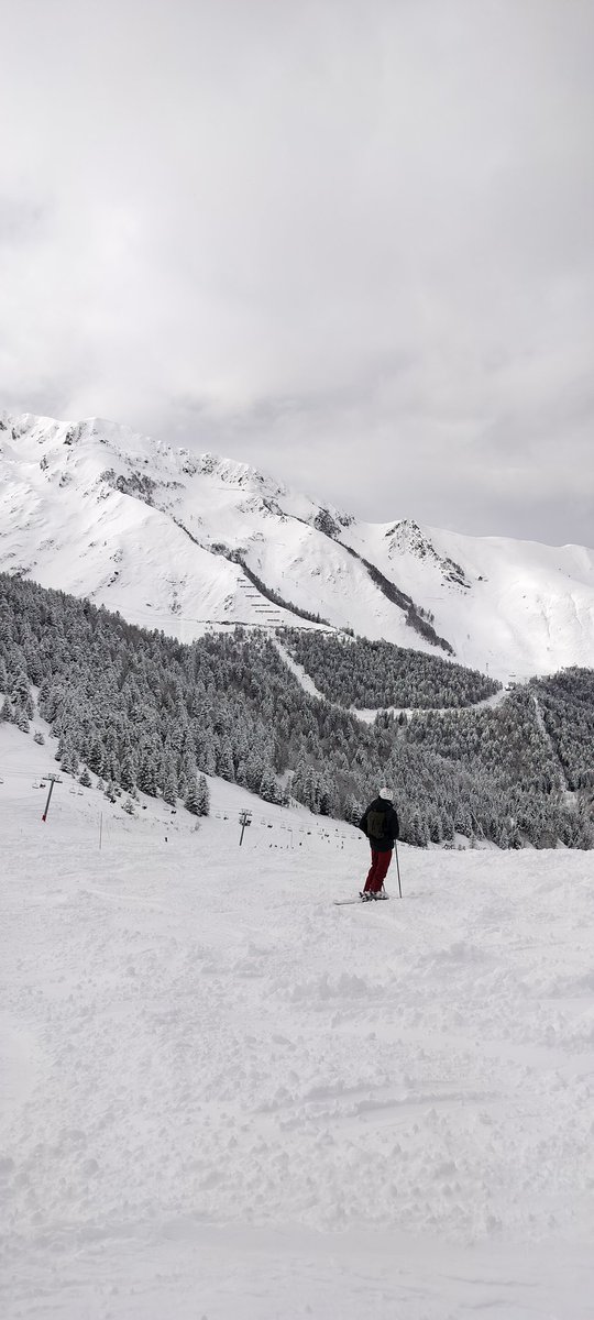 FreeRangeChalet's tweet image. POWDER ALERT

Big delivery of fresh snow last night here in the Pyrenees. 

We've not sent out our usual email because the School Holidays have started here so imagine you've got plans already 

Plenty of availability at the beginning of March tho. 

#PowderAlert