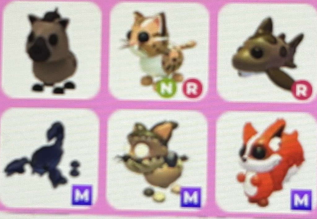 arctixrey's tweet photo. trading for mm2!!

ngf(150+ proofs pinned)

not offering, pls press pics!

#adoptme #adoptmetrade #adoptmetrades #adoptmetrading #mm2trade #mm2trades kw godly godlies for adopt me pets mm2 https://t.co/Mbrln2KBox