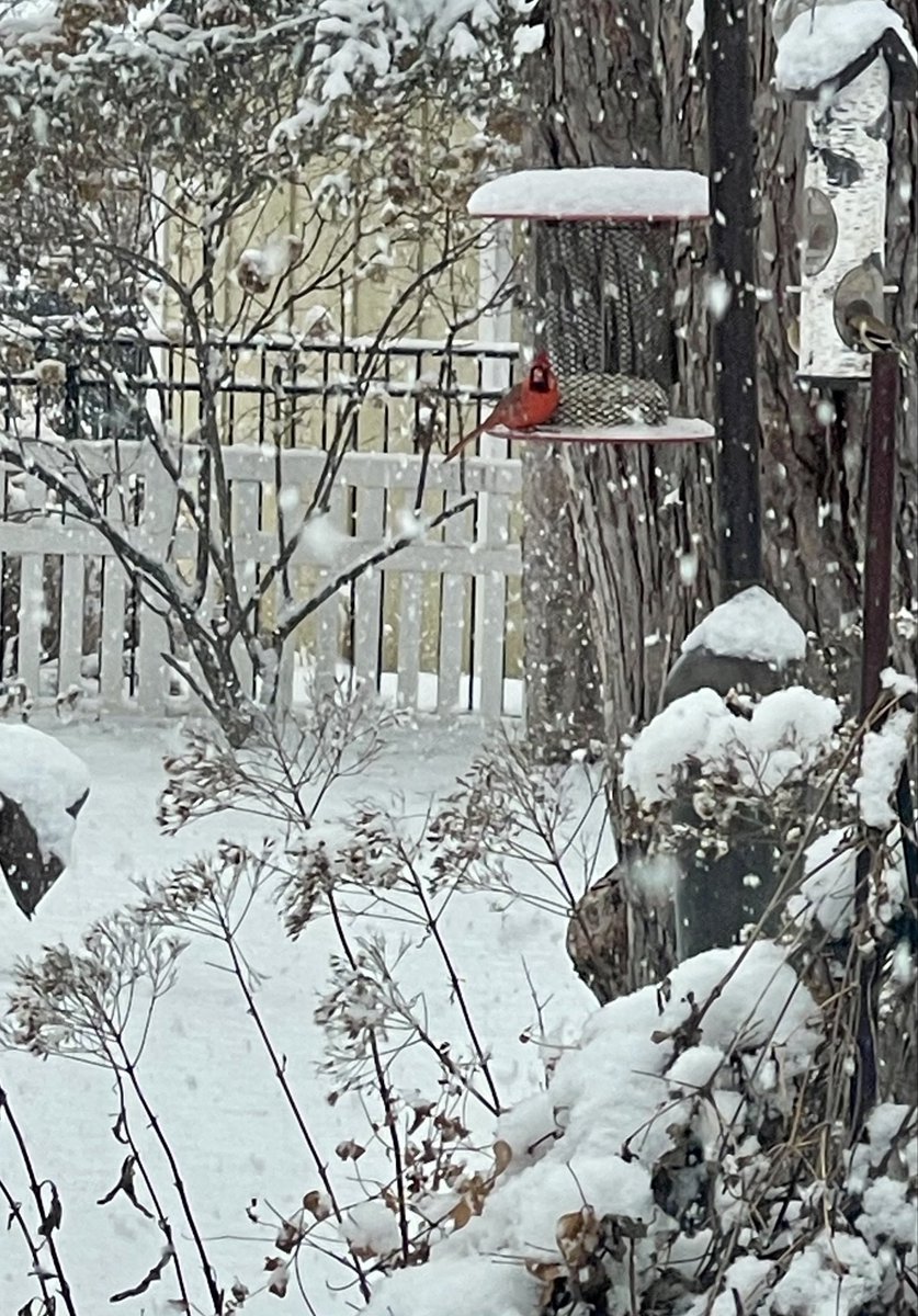 Kendra Meinert tweet media