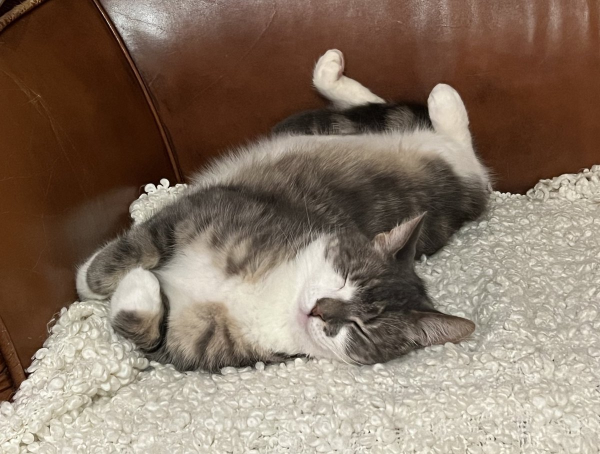 Marieke Kuypers tweet media