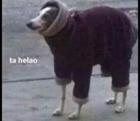 Lu é inútil en inglés tweet media