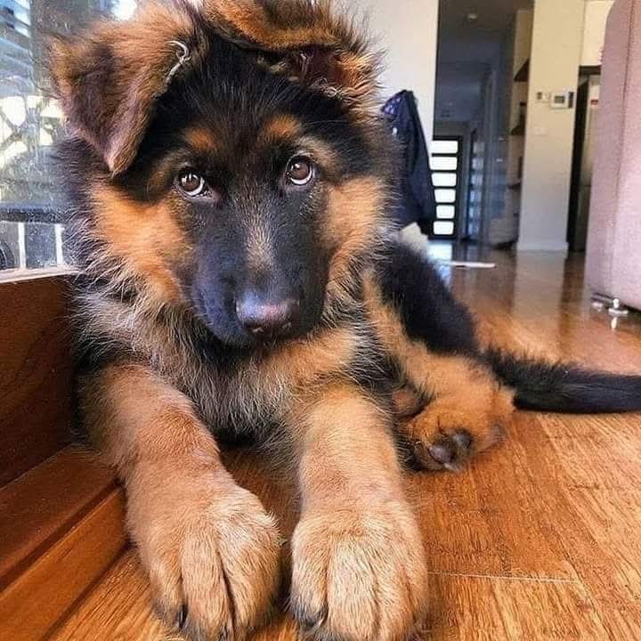 Great photography ❤️😍