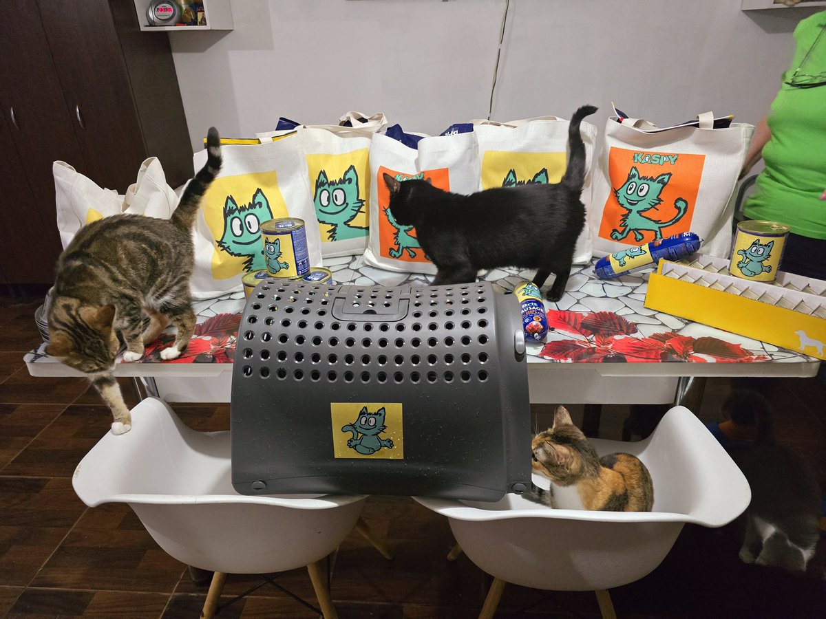 kaspy_io's tweet image. The next $KASPY charity event for pets in need will break records! 

#memecoins $KAS #KRC20