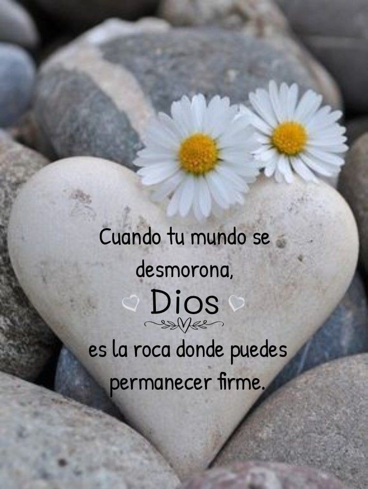 LydiaPrez14's tweet photo. Amén ♥️ https://t.co/Z5nPvkSyox