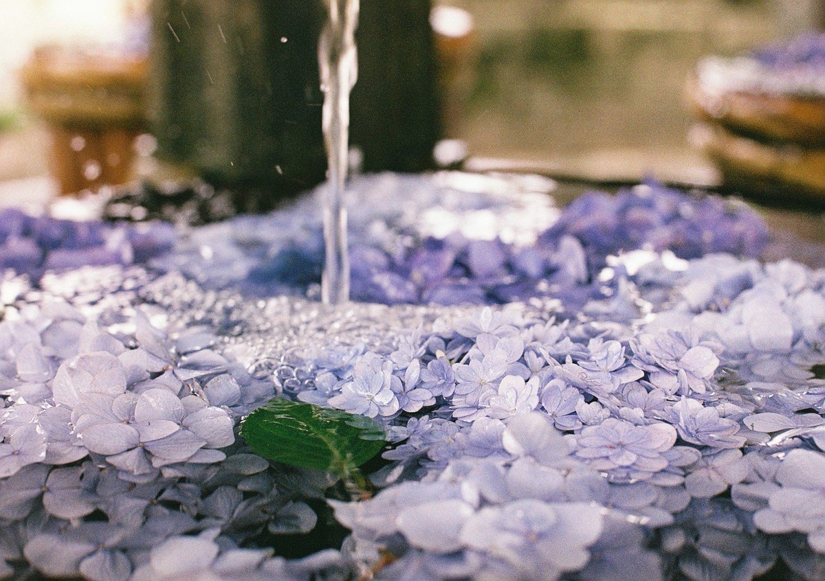 風待 凪 tweet media